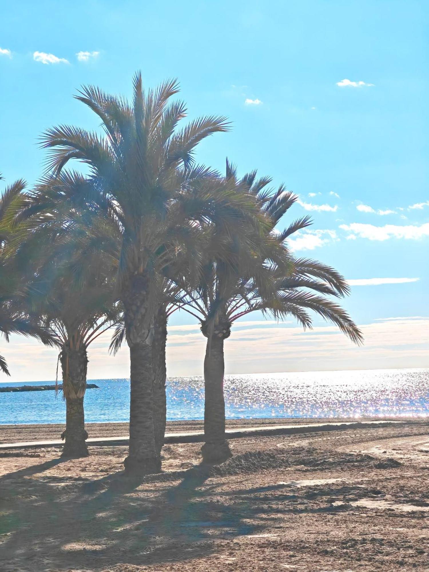 San Pedro Con Ascensor Y Playa Apartment Santa Pola Exterior foto